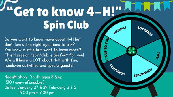 4-H Youth Opportunities
